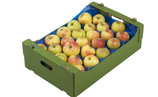 Od czego zależy, czy opakowanie na 1 kg miękkich owoców wytrzyma transport