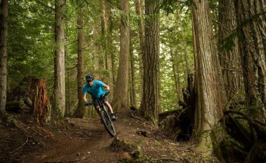 Rower MTB czy crossowy do jazdy po trasach w Czechowicach-Dziedzicach