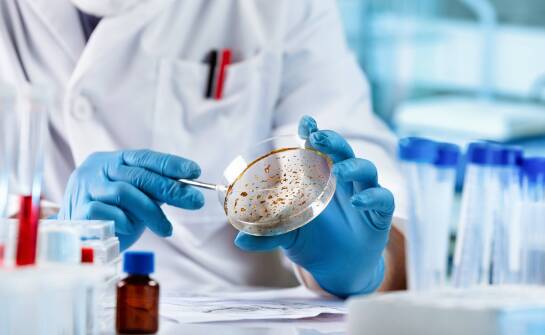 Analiza mikrobiologiczna powierzchni w budynku — kiedy wymazy mówią więcej niż próbki powietrza