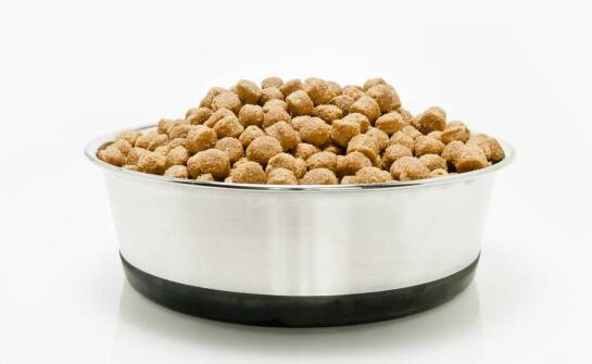 Granulat w diecie królika — jak ocenić skład i wprowadzić go bez chaosu