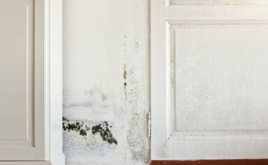 Jakie materiały i systemy drzwi wytrzymują wilgoć w zabudowie wnękowej na Mazurach