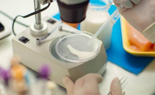 Jak dobór odczynników wpływa na ostrość prążków w elektroforezie DNA i białek