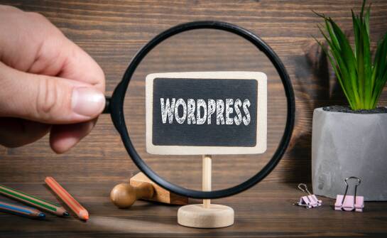 Kiedy szkolenie WordPress zaczyna rozwiązywać realne zadania zamiast uczyć samego kokpitu