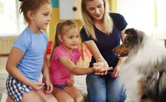 Dogoterapia w przedszkolu integracyjnym — co zmienia w emocjach i kontaktach dzieci