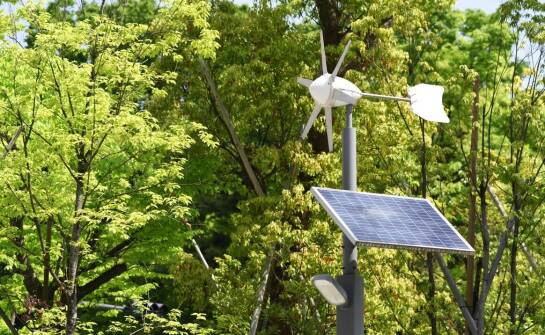 Magazyn energii jako bufor dla małej turbiny wiatrowej w gospodarstwie rolnym