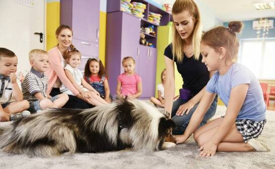 Jakie zmiany w zachowaniu dziecka z ADHD i autyzmem widać podczas dogoterapii w przedszkolu