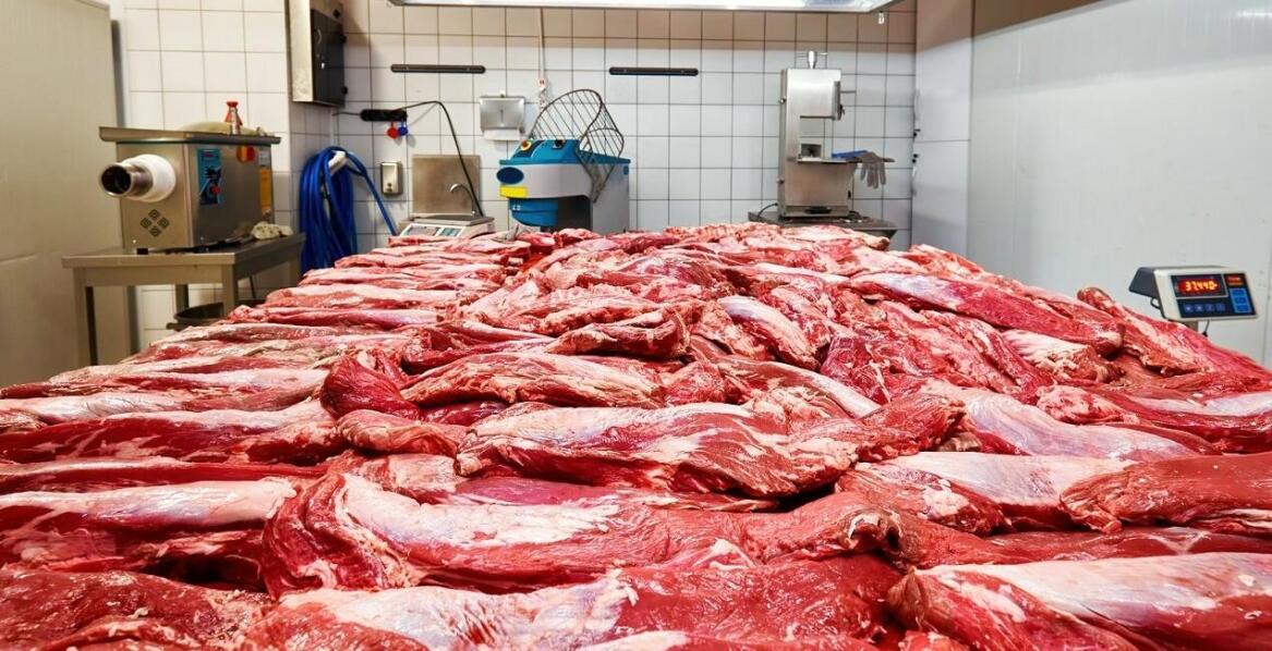 Jak wybrać hurtownię mięsa?