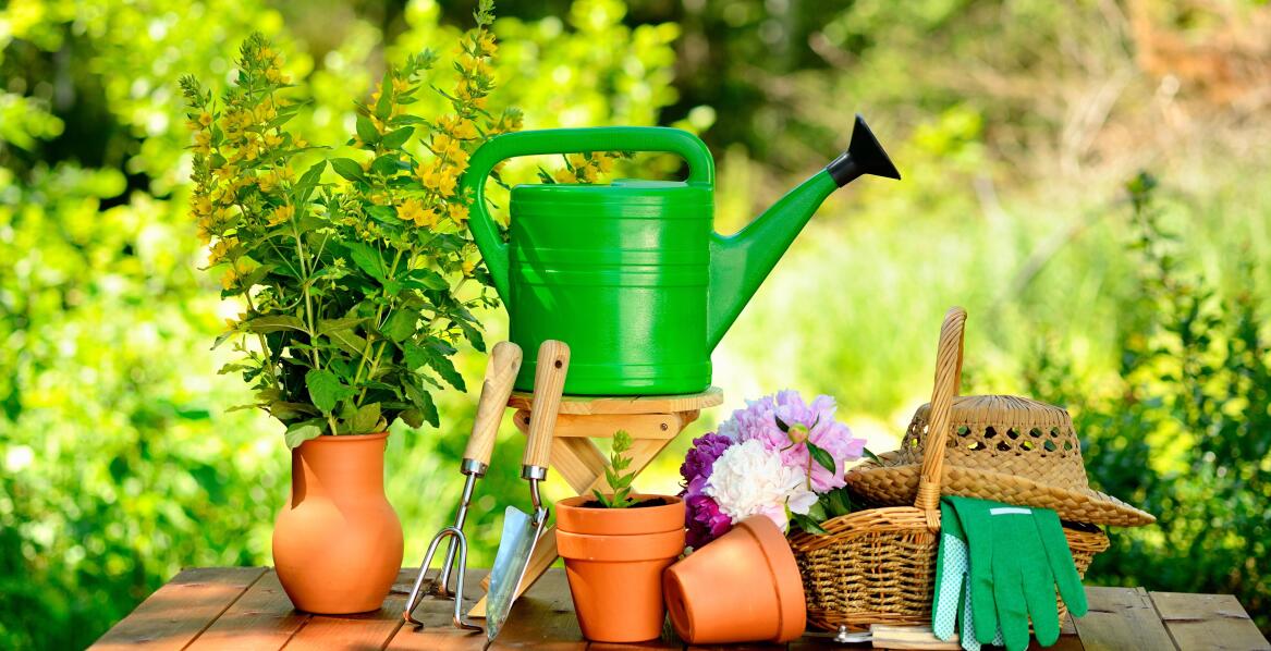 Przegląd najbardziej przydatnych urządzeń do pielęgnacji ogrodu