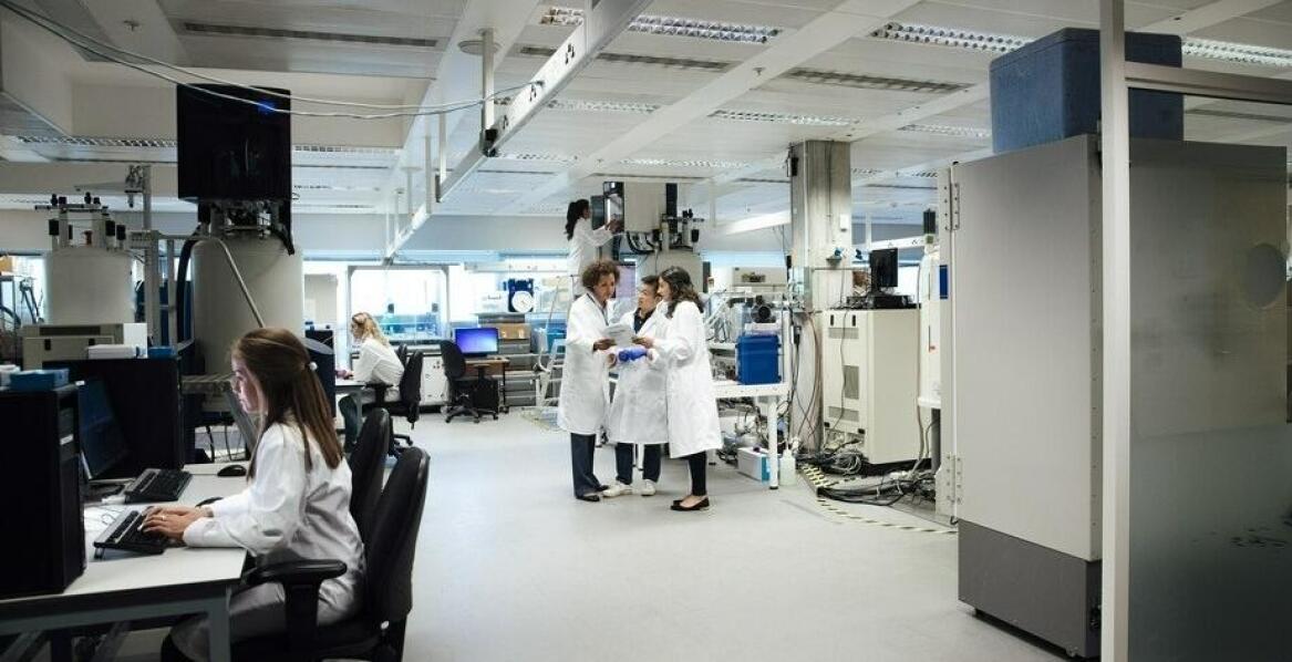 Podczas jakich prac w laboratorium używa się mieszadeł magnetycznych?