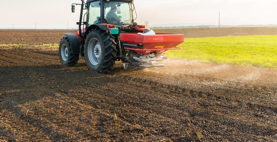 Jak często stosować nawozy?