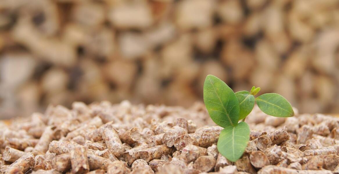 Czym cechuje się pellet A1?