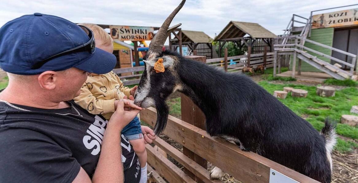 Czy warto zabierać dzieci do mini ZOO?