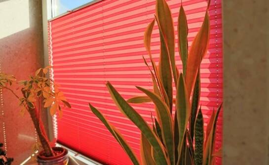 Jakie są zalety zamawiania plis okiennych na wymiar?