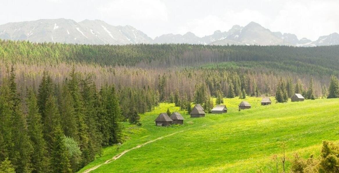 Dlaczego domki jednorodzinne na Kaszubach to idealne miejsce na rodzinne wakacje?