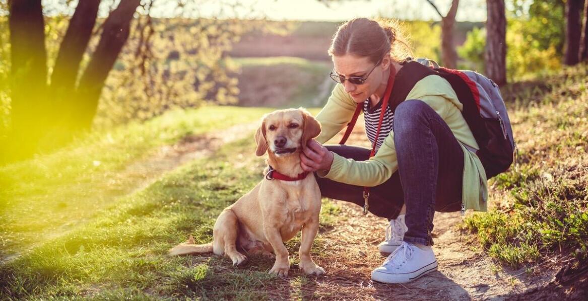 Jak radzić sobie z alergiami u zwierząt domowych?