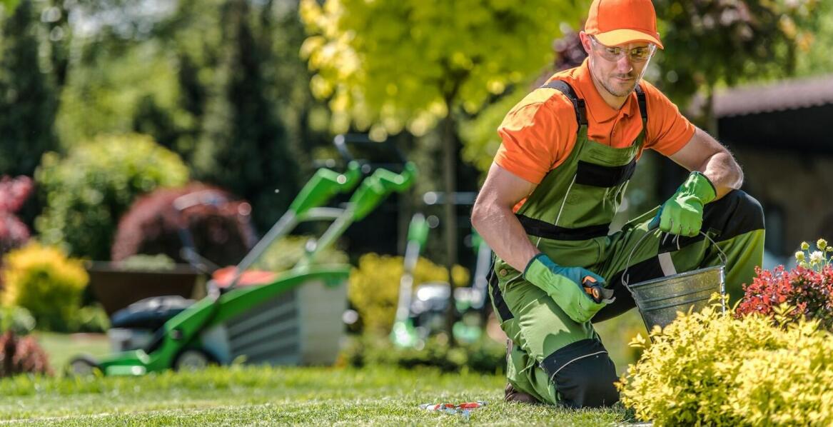 Dlaczego projektowanie ogrodów warto powierzyć specjalistom?