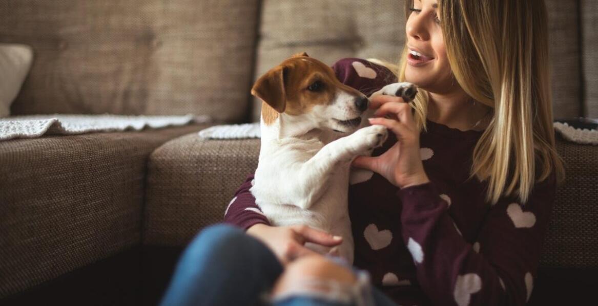 Jak radzić sobie z tęsknotą za swoim psem podczas jego długotrwałego pobytu w pensjonacie?
