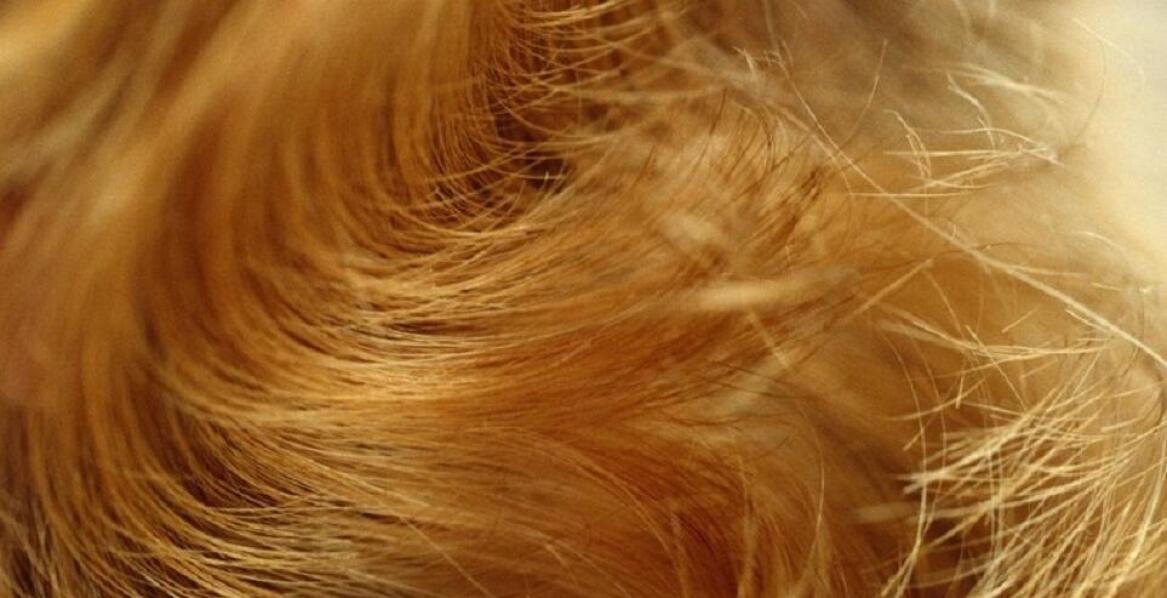 Czy peruki można farbować i stylizować?