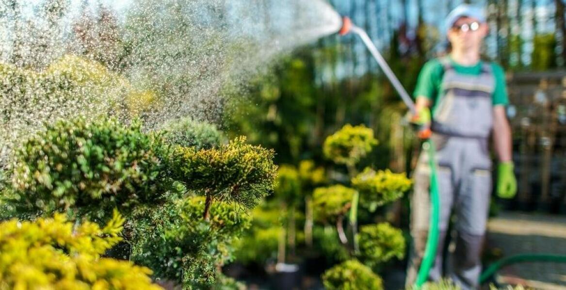 Czy istnieją środki ochrony roślin szczególnie polecane dla upraw ekologicznych?