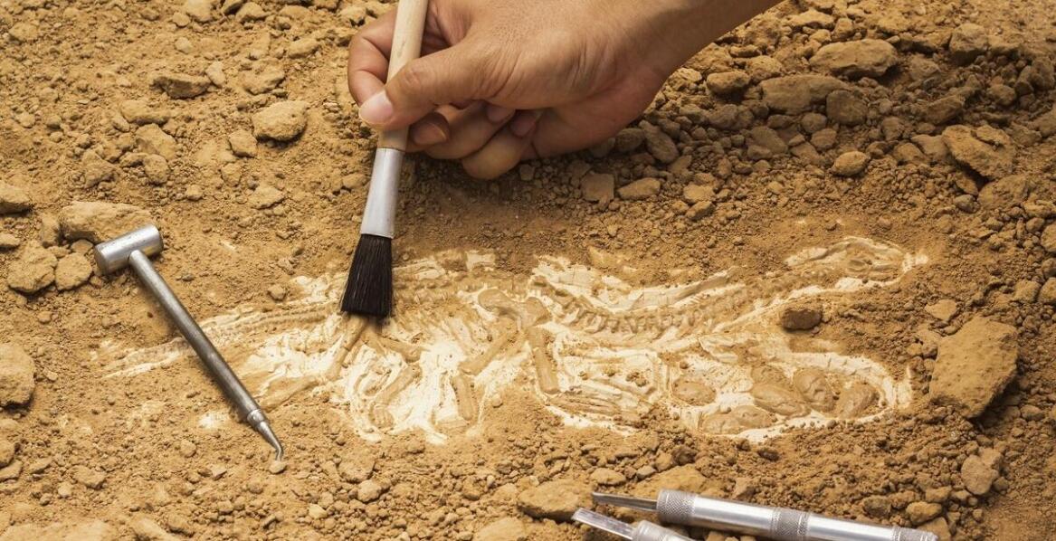 Jakie są podstawowe zadania geologa?