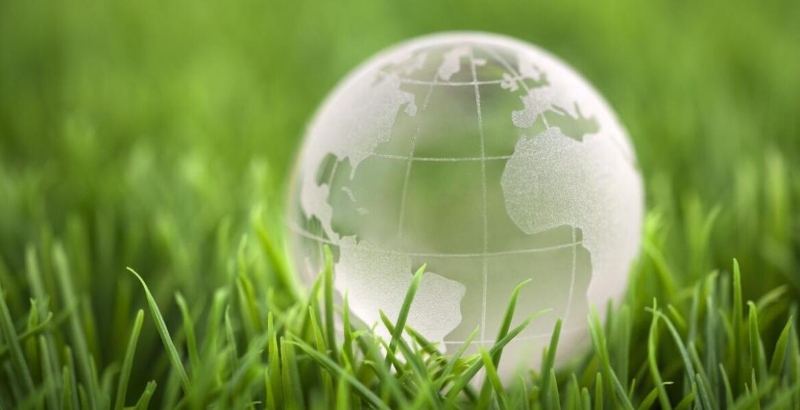 Ochrona środowiska przy budowie i eksploatacji hal przemysłowych