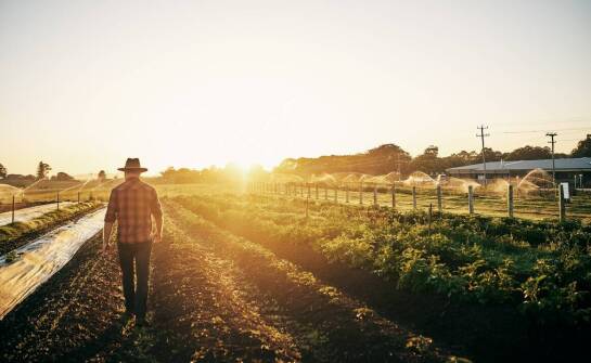 Ubezpieczenia rolnicze: jakie są dostępne opcje u agenta ubezpieczeniowego w Bydgoszczy?