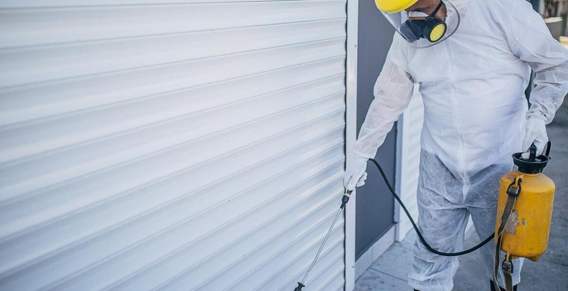 Co obejmują usługi ddd?