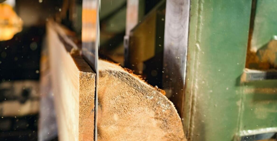 Jakie cechy powinien mieć profesjonalny tartak?