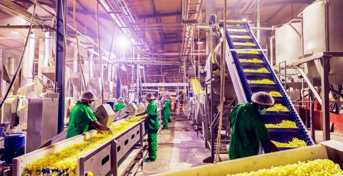 Szkolenia dla pracowników linii produkcyjnej: rola edukacji w efektywności produkcji