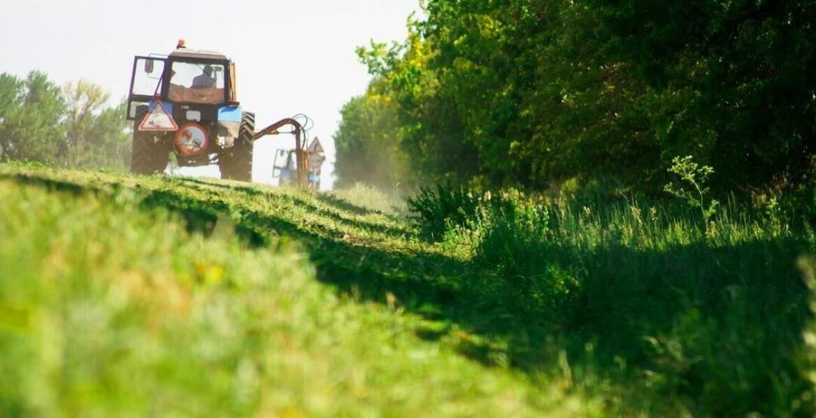 Jak prawidłowo dobrać bijak do kosiarki Peruzzo?