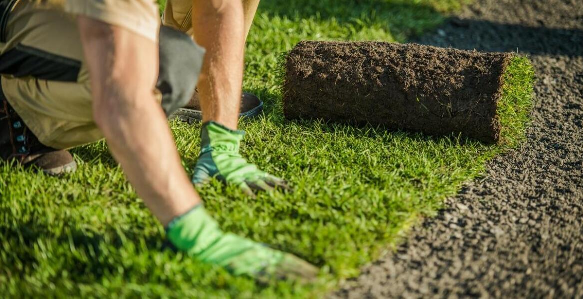 Finalizacja i doradztwo: co warto wiedzieć po zakończeniu prac nad ogrodem?