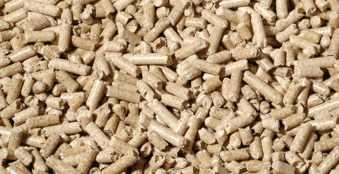 Czy pellet drzewny to dobry opał na zimę?