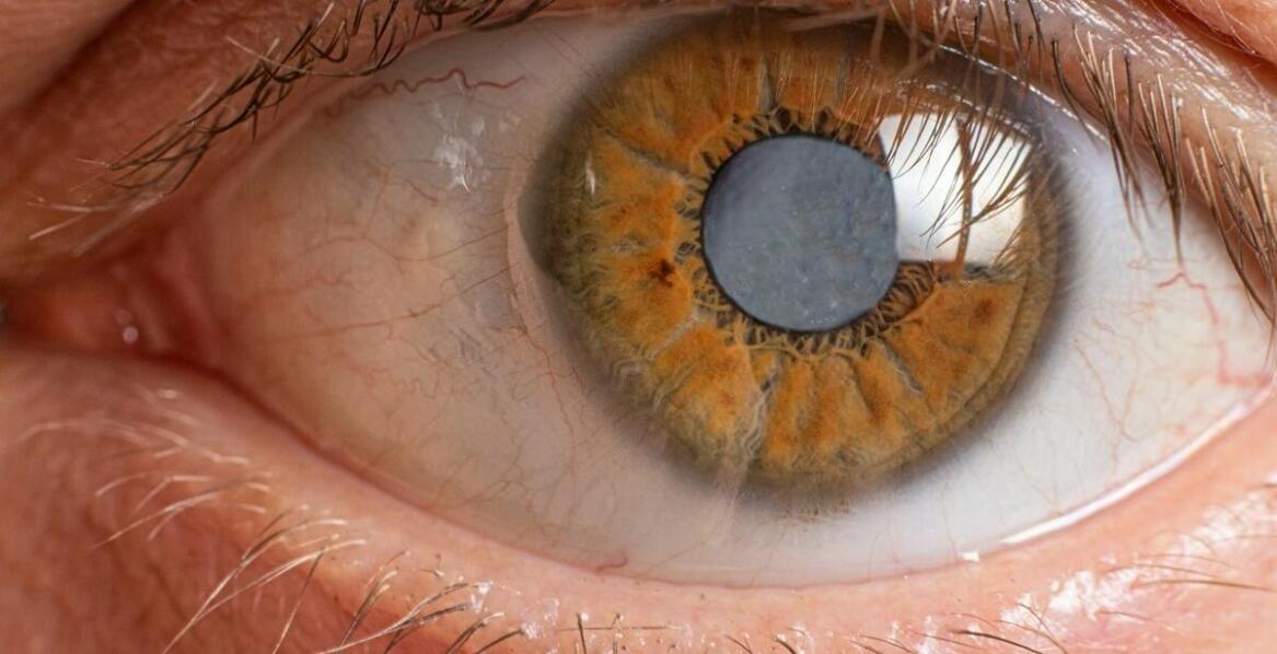 Jak model oka wspiera edukację o funkcjach optycznych?