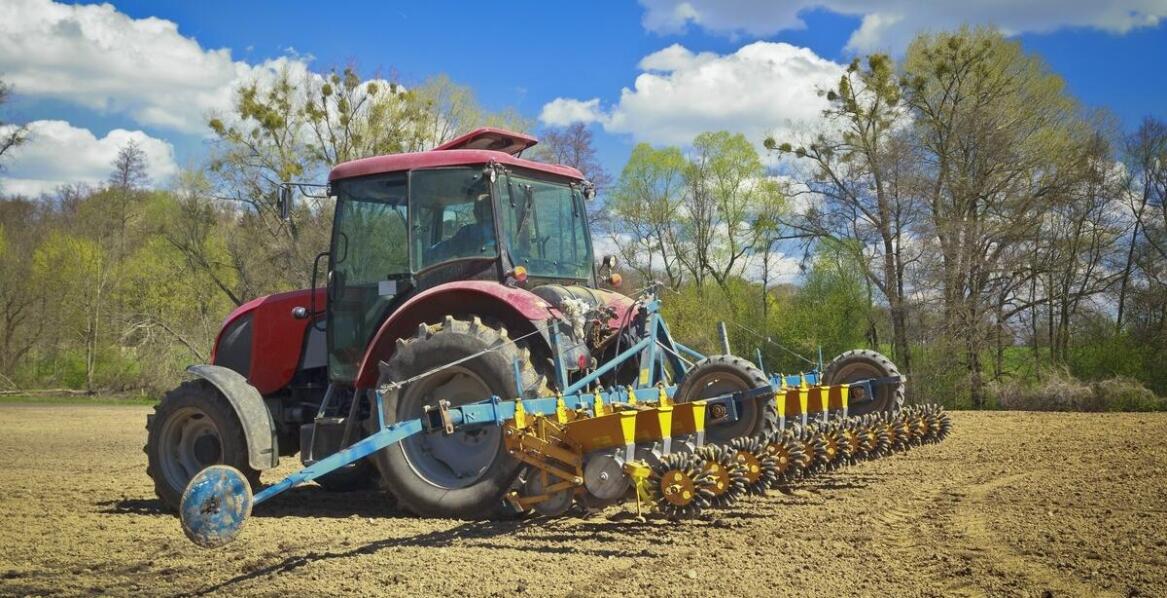 Wysiew poplonów dolnośląskie - wprowadzenie do techniki i jej zastosowania