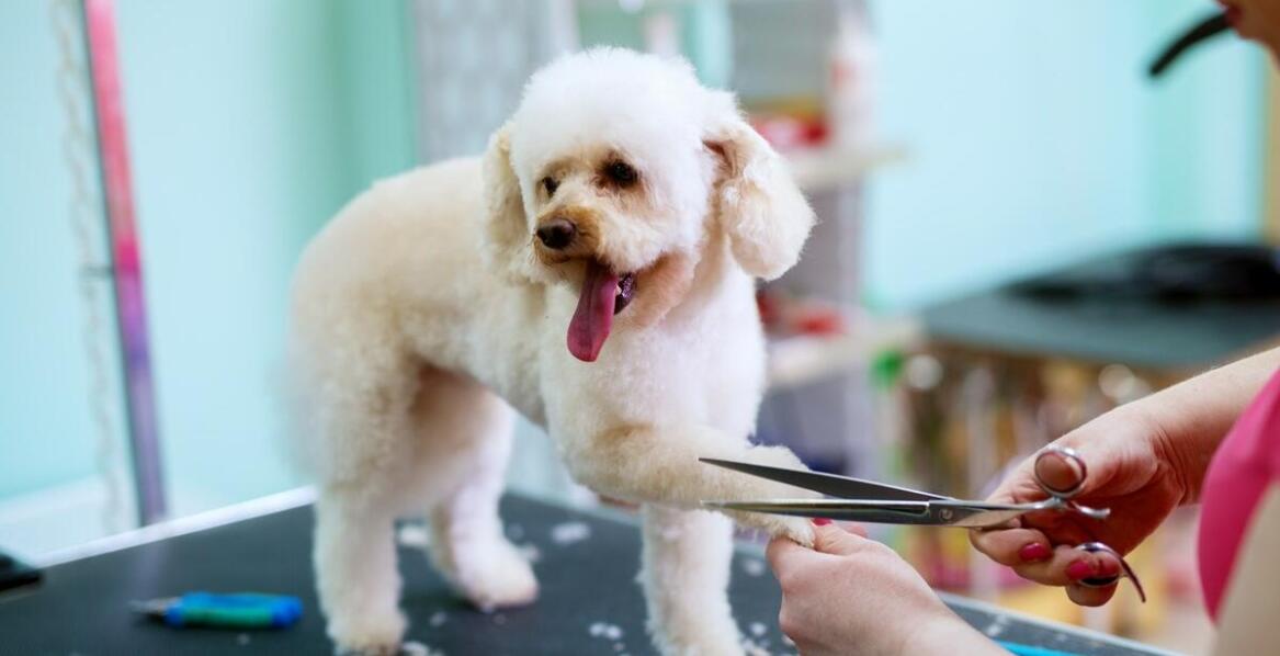 Czym różnią się usługi oferowane przez od innych salonów pielęgnacyjnych?