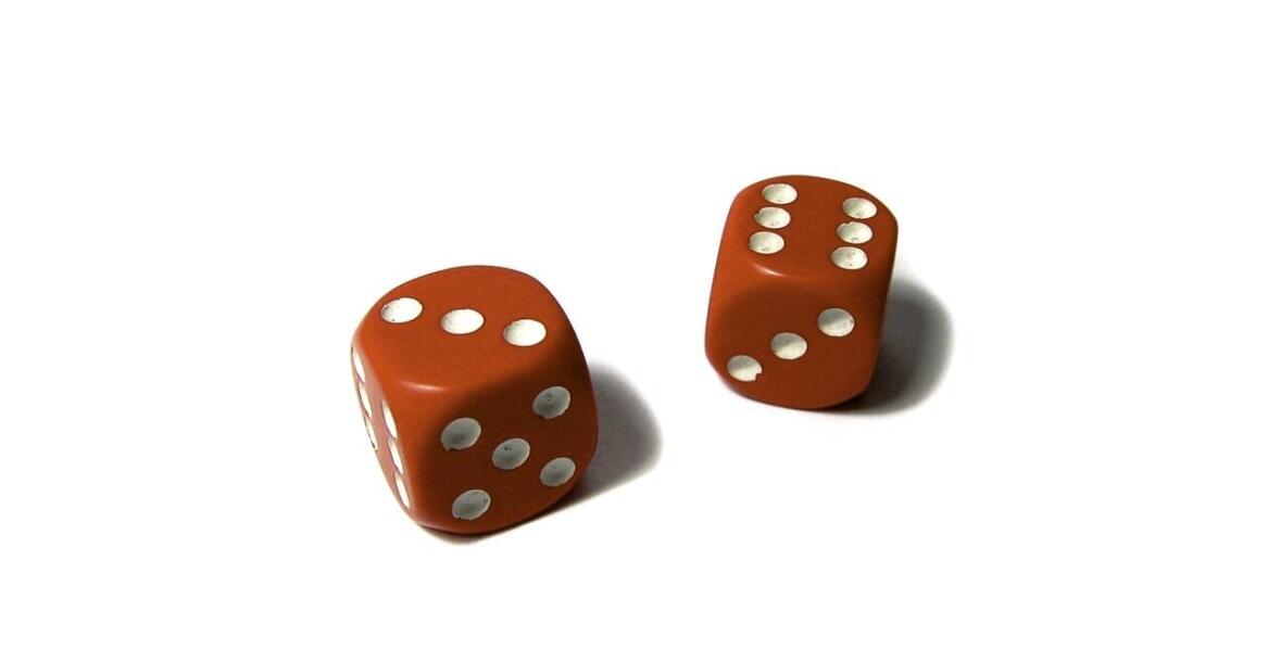 Viva Gorilla – zabawa z małpkami na koncentracje i spostrzegawczość