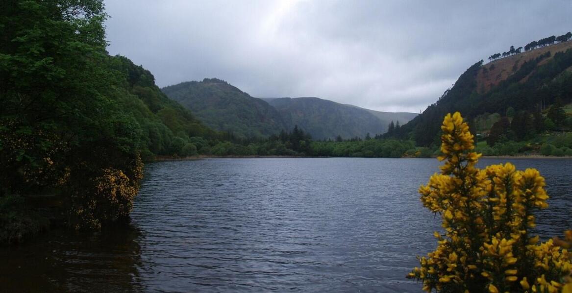 Connemar National Park