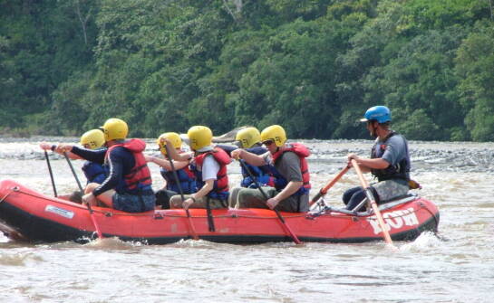 Adrenalina w sporcie