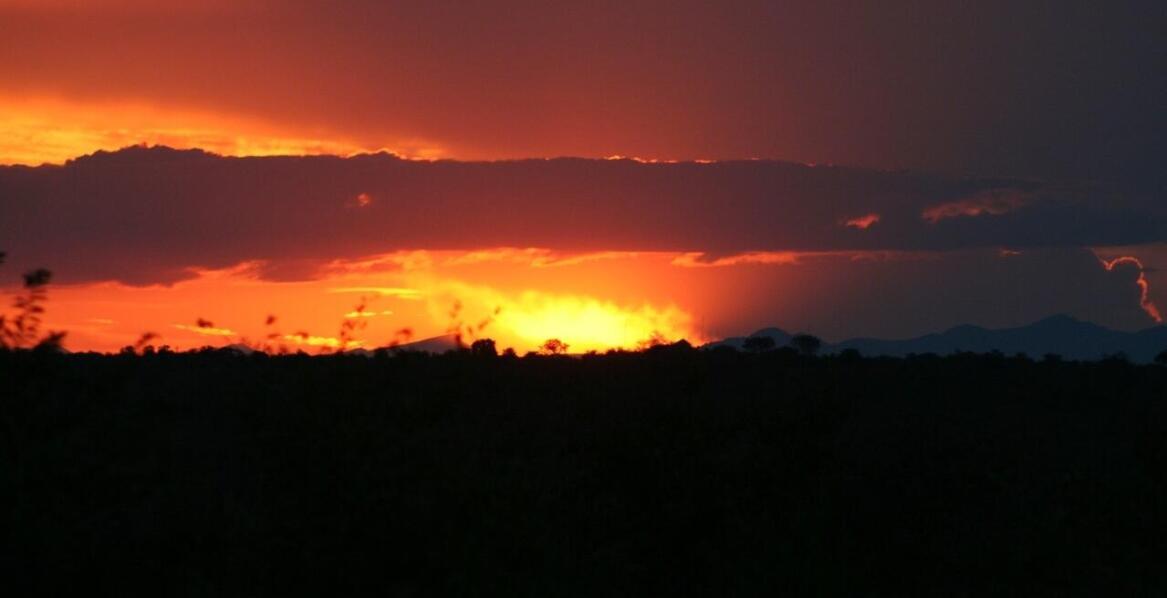 Co wiemy na temat Pauliny?