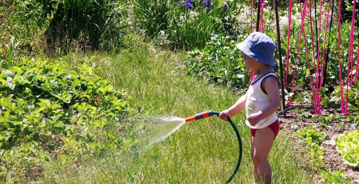 Zasady dobrego ogrodnika