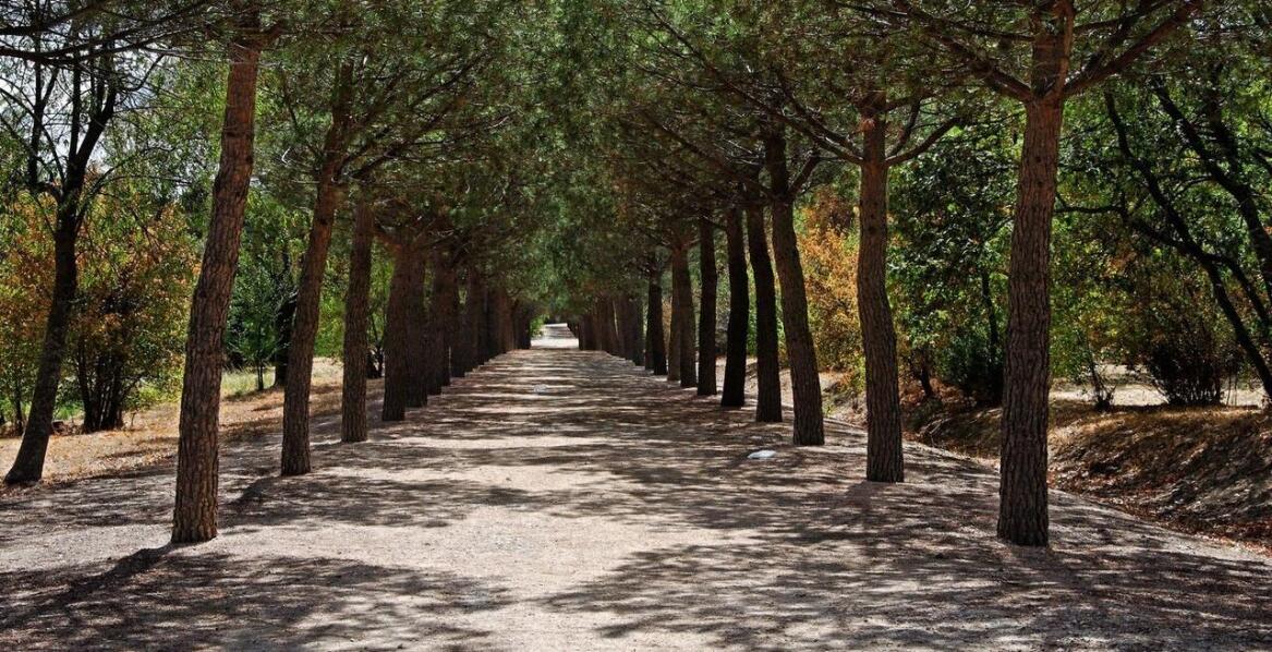 Karkonoski Park Narodowy