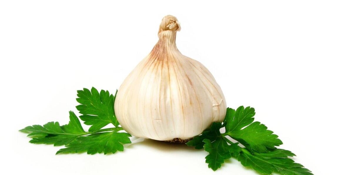 Rower zamiast samochodu