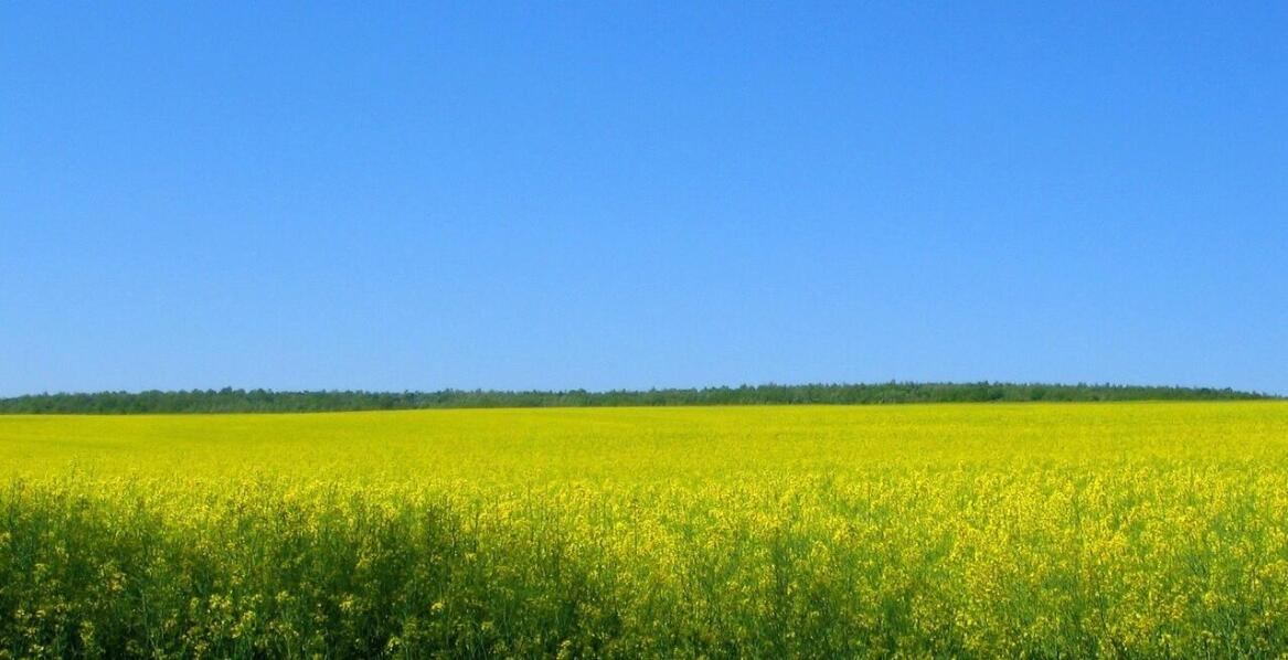 Słoma – energetyczny nieużytek rolny