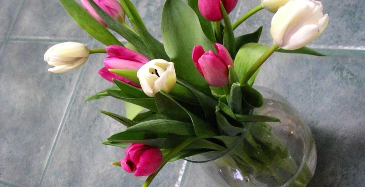 Bezcenne chwile relaksu