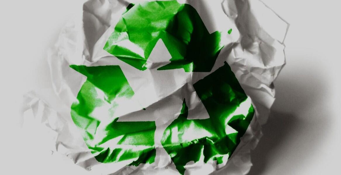 Warto poznawać zagadnienia związane z ekologią