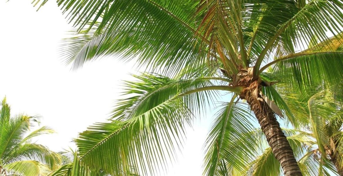 Turcja – niepoznane wakacyjne uroki