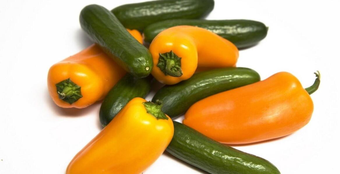 Dieta, dieta i po diecie