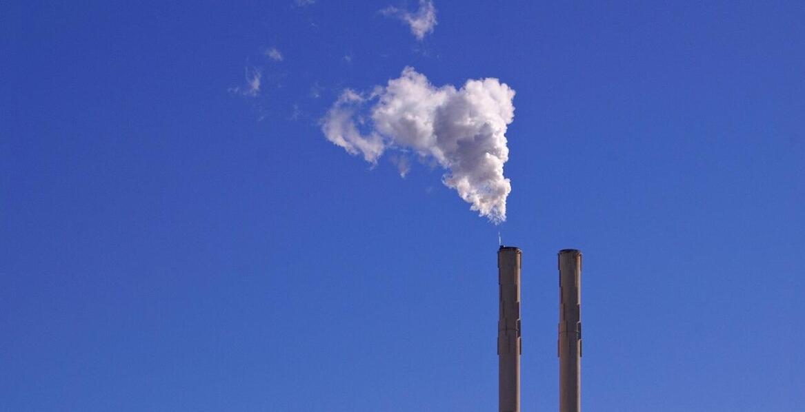 Energia potrzebna do życia