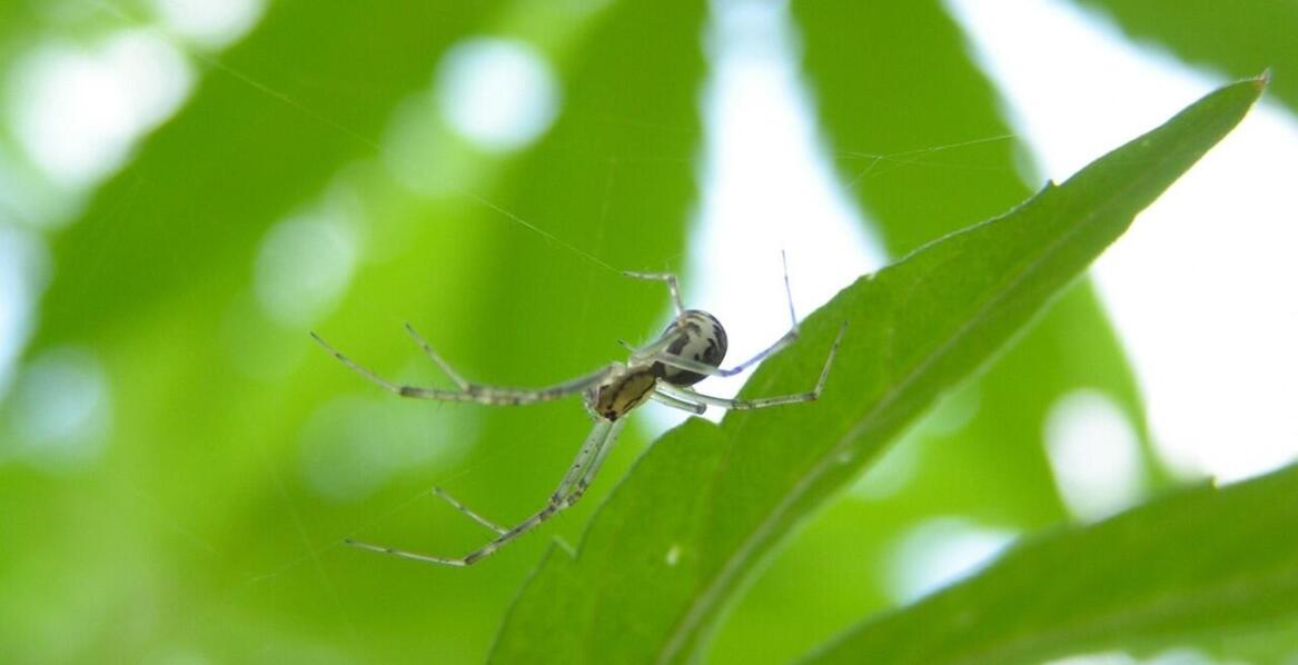 Ekoenergia - w zgodzie ze środowiskiem