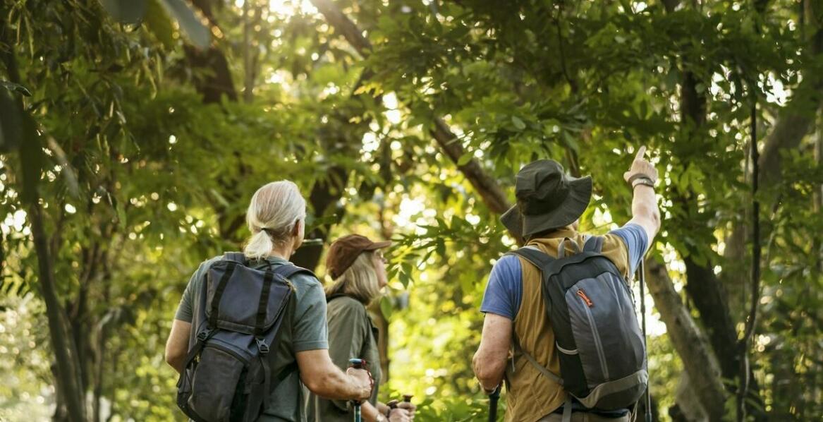 Spływ kajakowy Lipusz z przewodnikiem: odkryj nieznane zakątki rzek